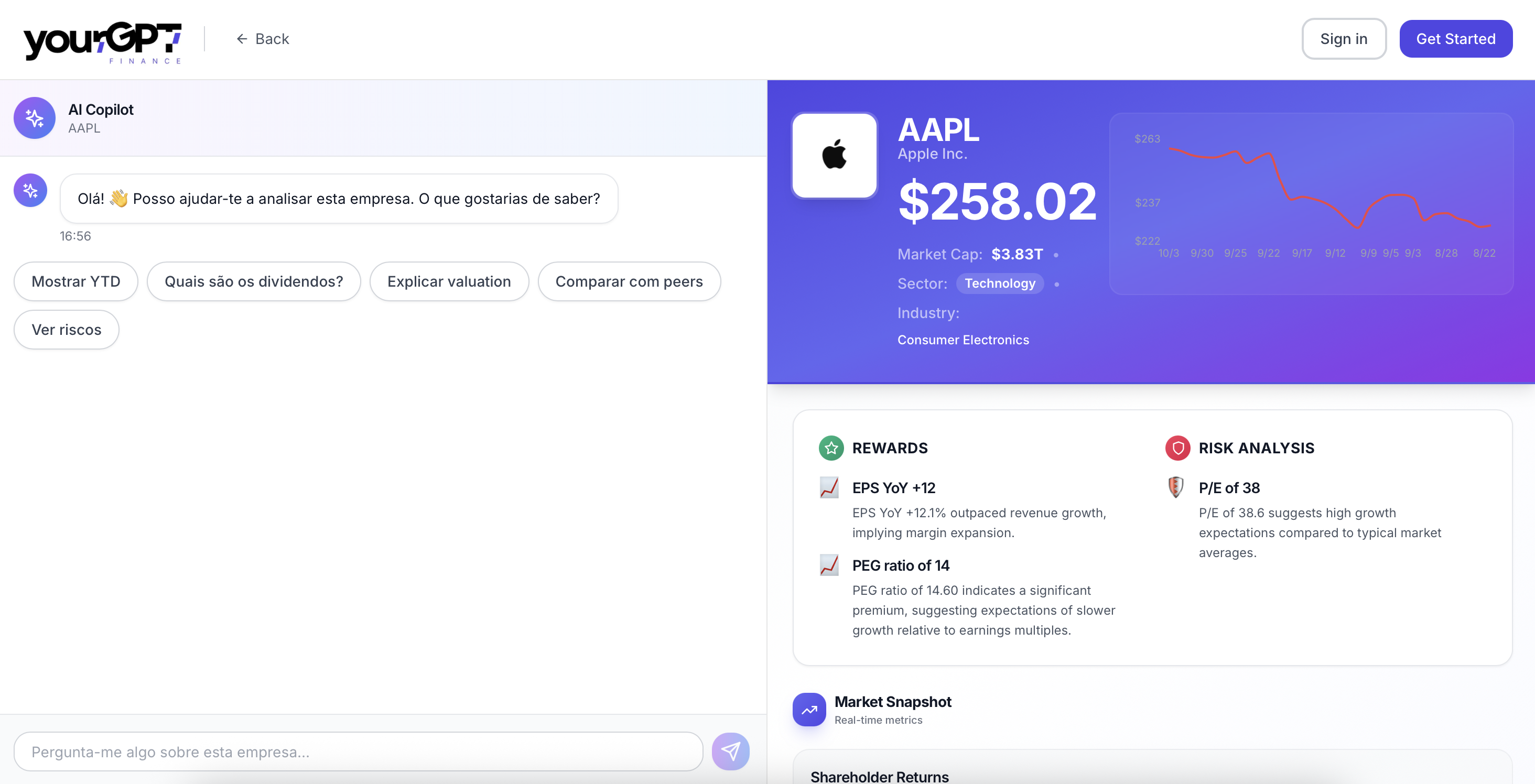 YourGPT Finance Dashboard Preview